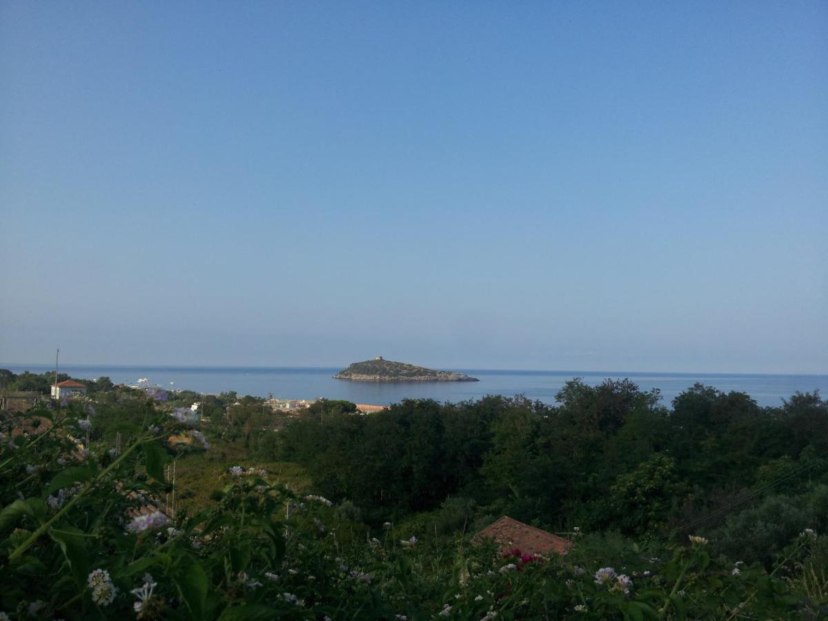 Hotel Villa Cerelis Diamante Ngoại thất bức ảnh
